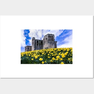 Spring at Warkworth Castle Posters and Art